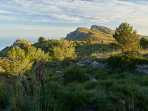 Puig de sa Creu, Talaia Freda, Parc natural de la península de Llevant, Mallorca, Balearic Islands, Spain Puig de sa Creu, Talaia Freda, Parc natural de la península de Llevant, Mallorca, Balearic Islands, Spain